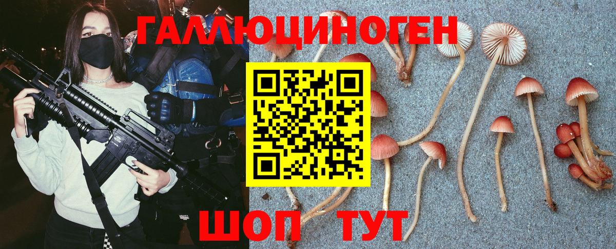 Галлюциногенные грибы MAGIC MUSHROOMS  Вход с VPN  Псилоцибиновые грибы Psilocybe  Кировск 
