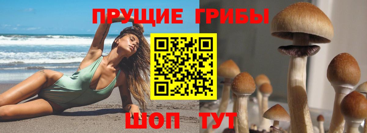 Галлюциногенные грибы прущие грибы Кировск